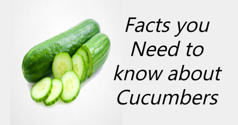 Facts you need to know about Cucumbers. - JustFun247