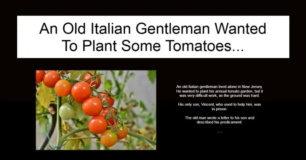 An Old Italian Gentleman Wanted To Plant Some Tomatoes.