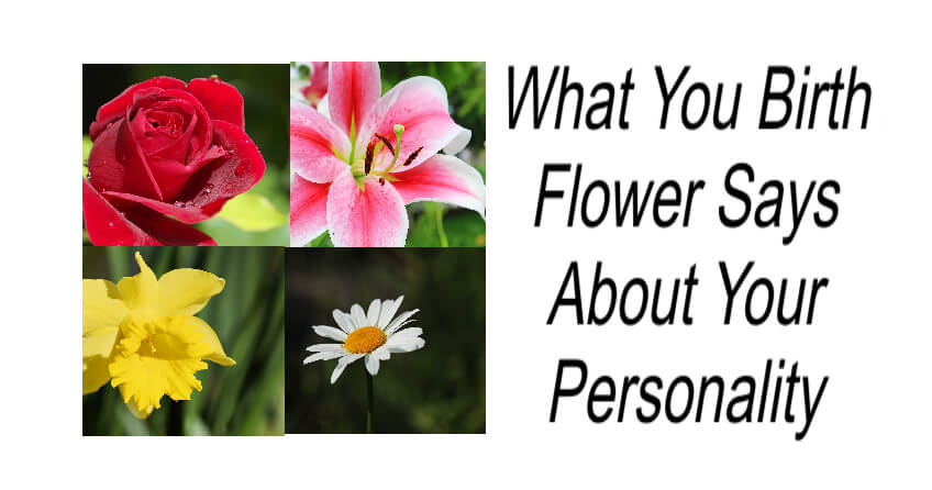 What You Birth Flower Says