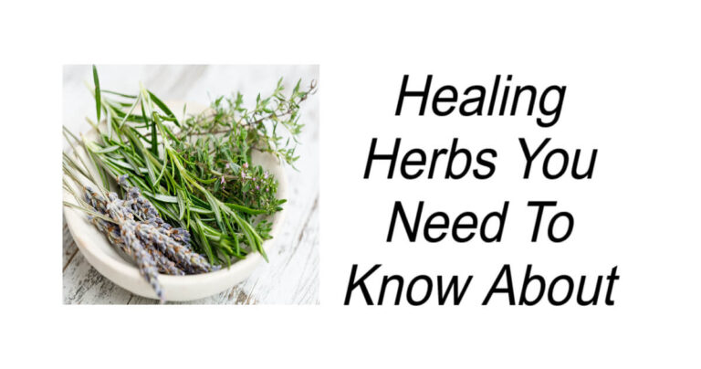 Healing Herbs You Need To Know About