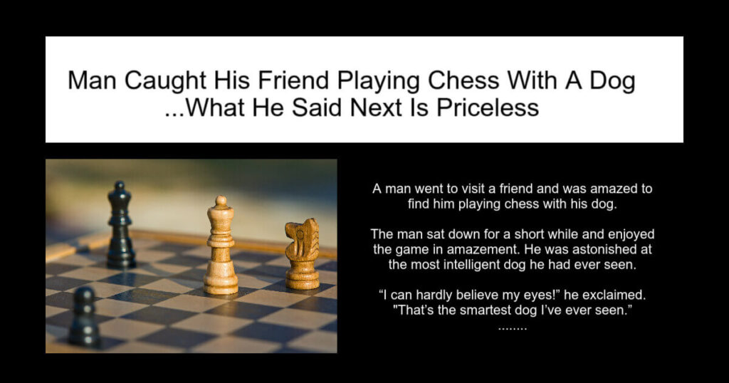 Man Caught His Friend Playing Chess With A Dog