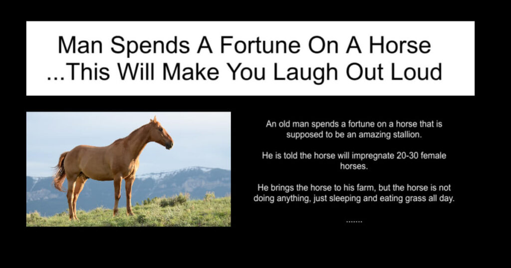 Man Spends A Fortune On A Horse