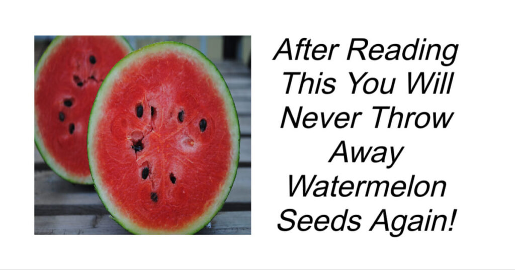 Never Throw Away Watermelon Seeds