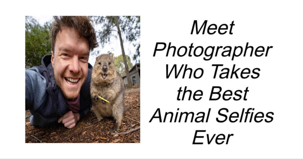 Meet Photographer Who Takes the Best Animal Selfies Ever