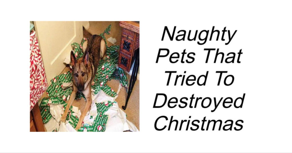 Naughty Pets That Tried To Destroyed Christmas