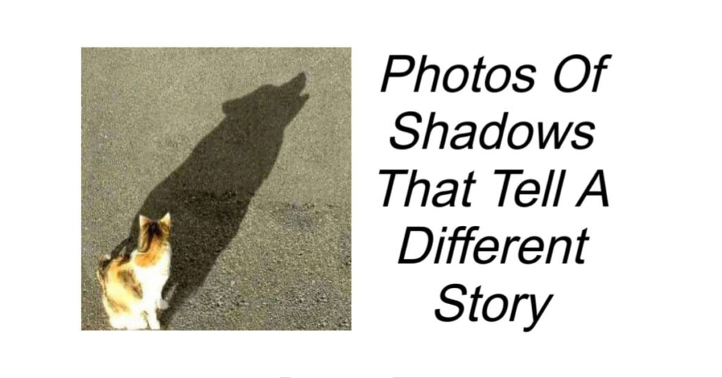 Photos Of Shadows That Tell A Different Story