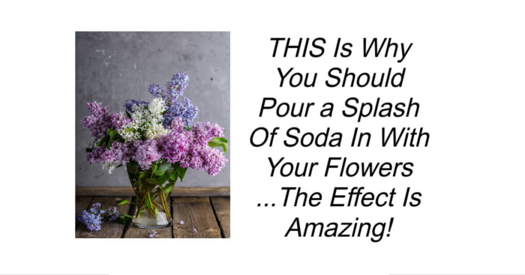 Pour a Splash Of Soda In With Your Flowers