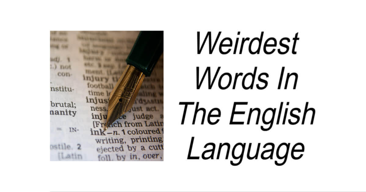 weirdest-words-in-the-english-language