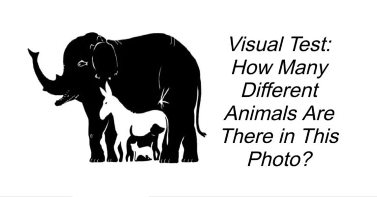 How Many Different Animals Are There