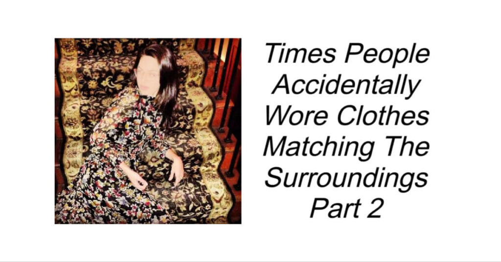 Times People Accidentally Wore Clothes Matching The Surroundings