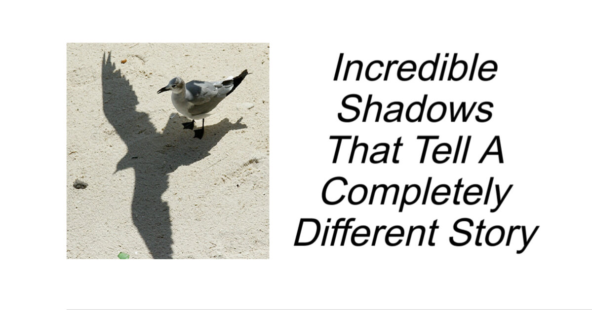 Shadows That Tell A Completely Different Story