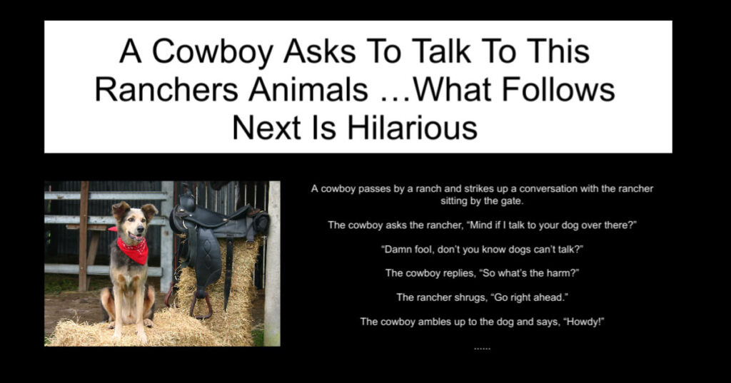 A Cowboy Asks To Talk To This Ranchers Animals