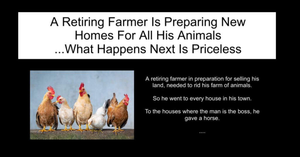 A Retiring Farmer Is Preparing New Homes For All His Animals