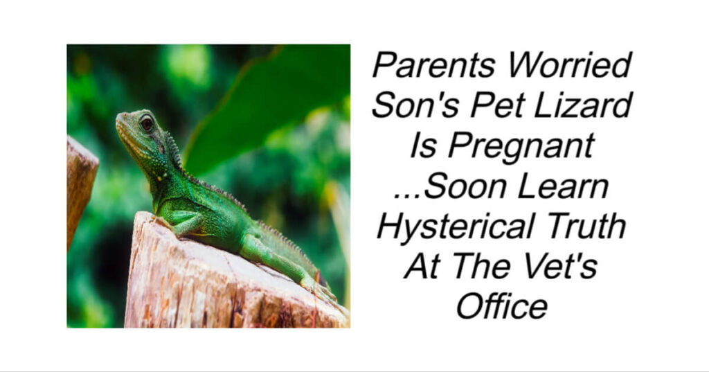 Parents Worried Son's Pet Lizard Is Pregnant