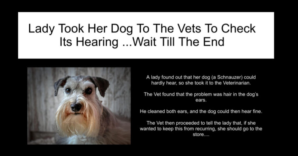 Lady Took Her Dog To The Vets To Check Its Hearing