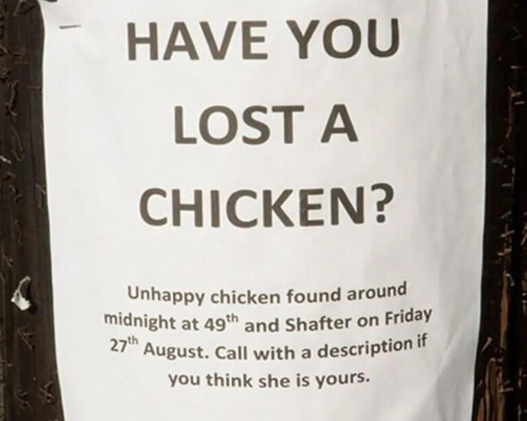 Hilarious Lost and Found Posters