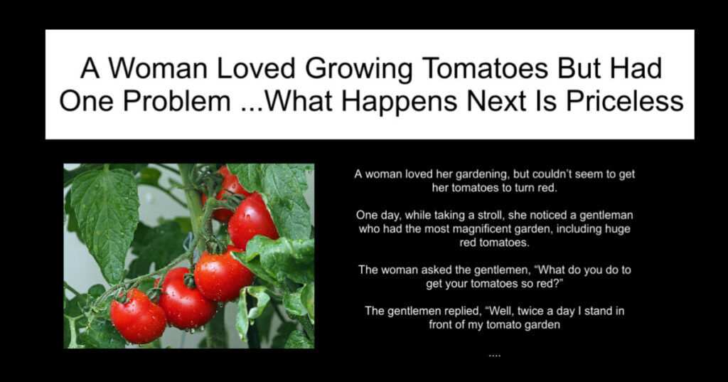 A Woman Loved Growing Tomatoes