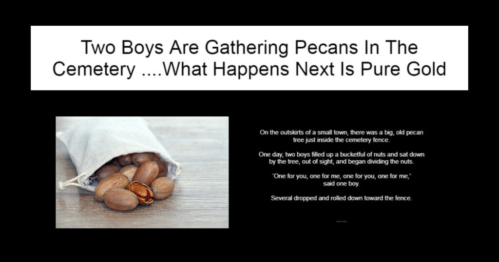 Two Boys Are Gathering Pecans In The Cemetery