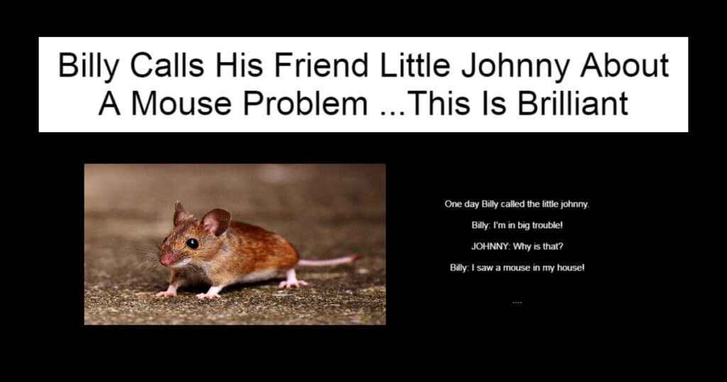 Billy Calls His Friend Little Johnny About A Mouse Problem