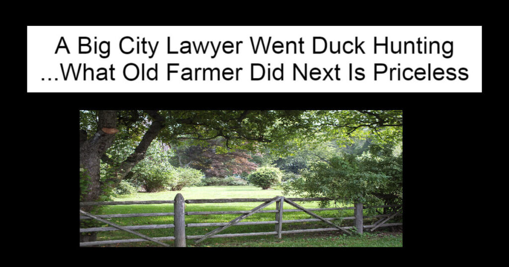 A Big City Lawyer Went Duck Hunting