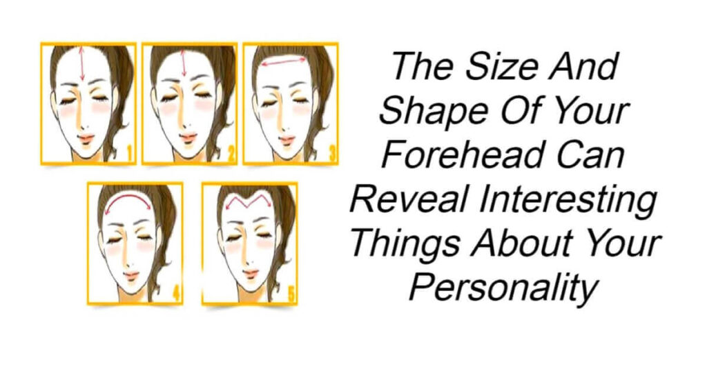 The Size And Shape Of Your Forehead Can Reveal Interesting Things