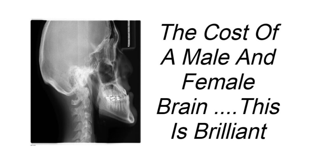 The Cost Of A Male And Female Brain