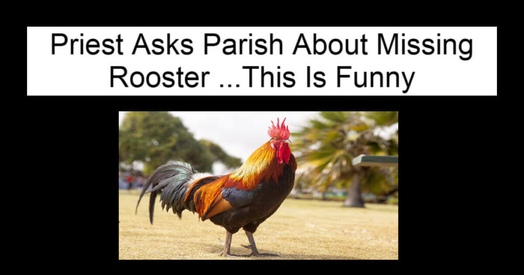 Priest Asks Parish About Missing Rooster