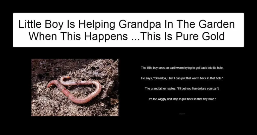 Little Boy Is Helping Grandpa In The Garden