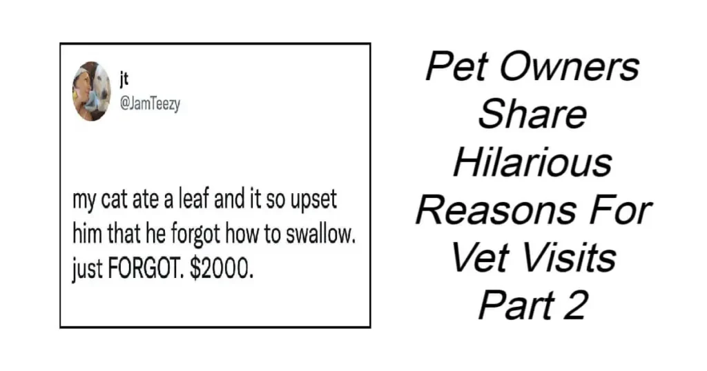 Pet Owners Share Hilarious Reasons For Vet Visits Part 2