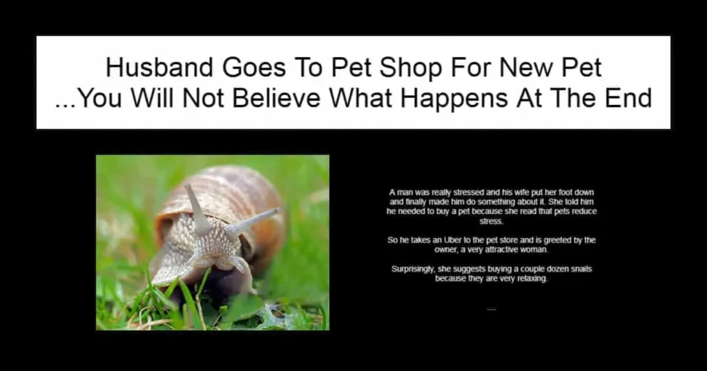 Husband Goes To Pet Shop For New Pet