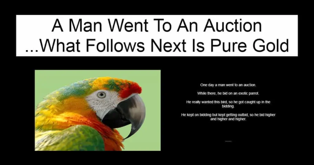 A Man Went To An Auction