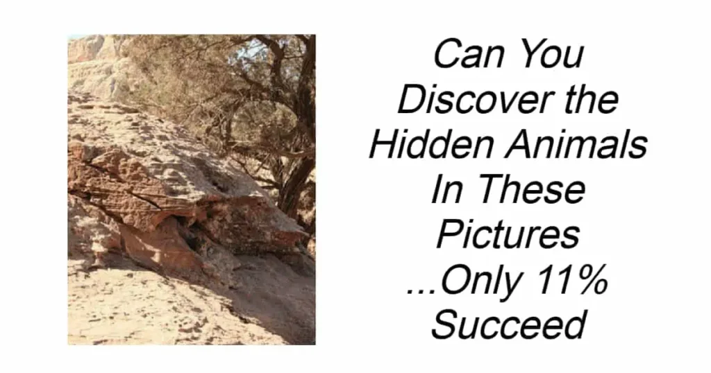 Can You Discover the Hidden Animals in These Pictures