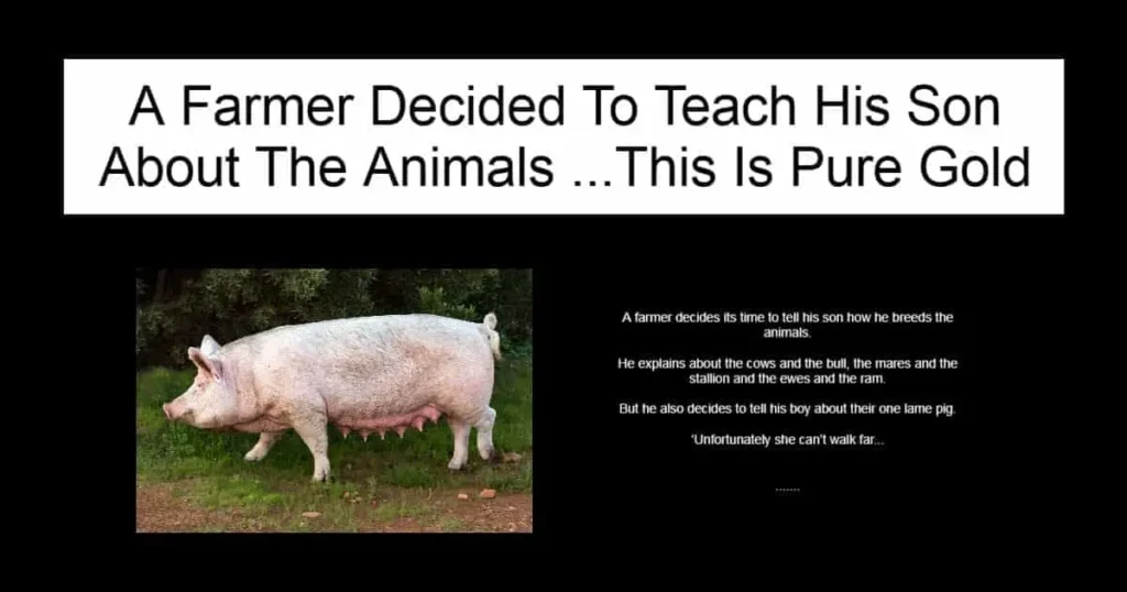 A Farmer Decided To Teach His Son About The Animals