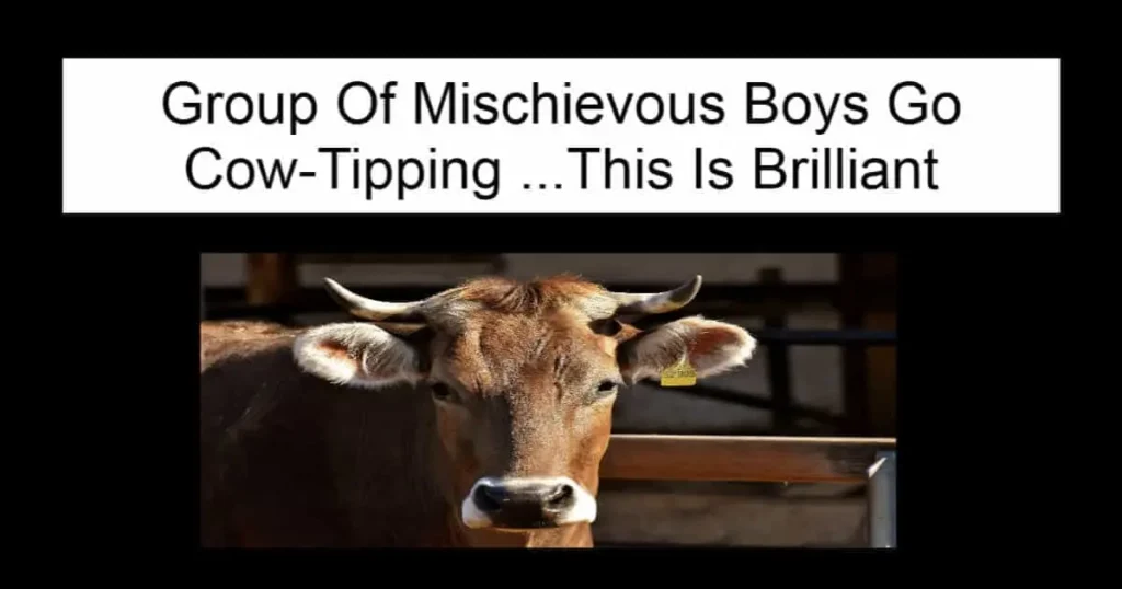 Group Of Mischievous Boys Go Cow-Tipping