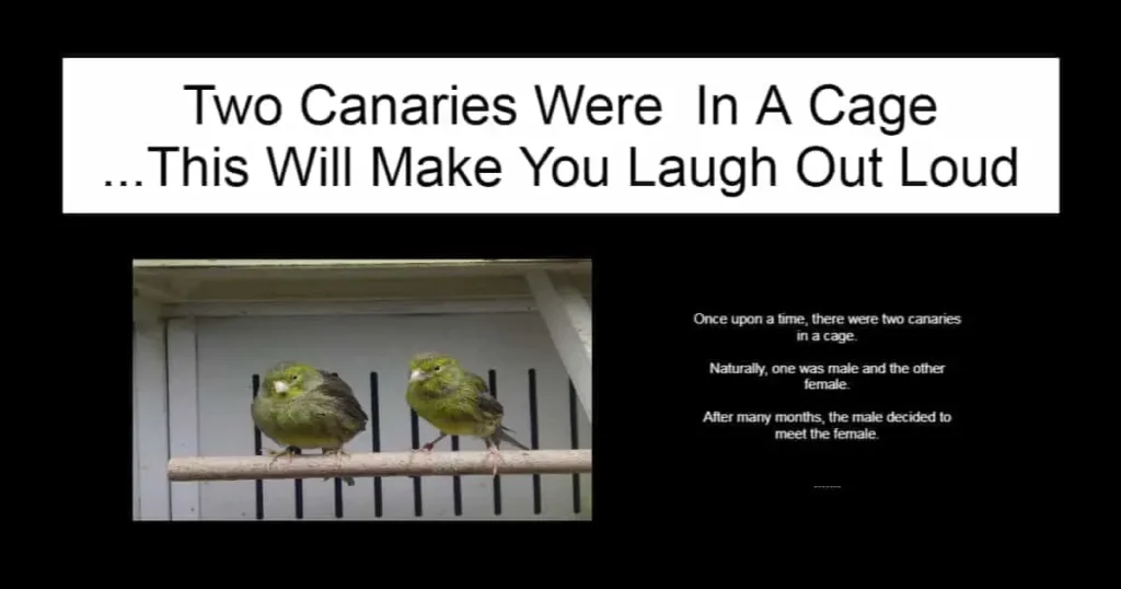 Two Canaries Were In A Cage