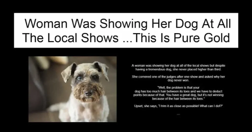  Woman Was Showing Her Dog At All The Local Shows