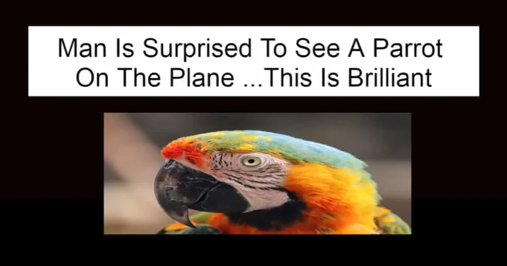 Man Is Surprised To See A Parrot  On The Plane