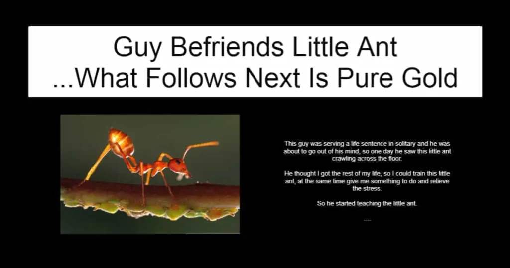 Guy Befriends Little Ant