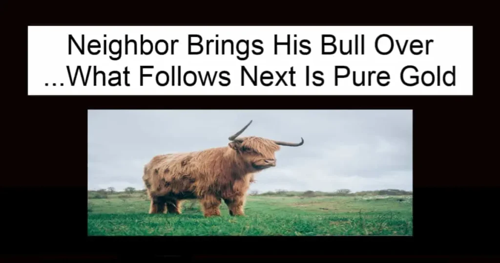 Neighbor Brings His Bull Over