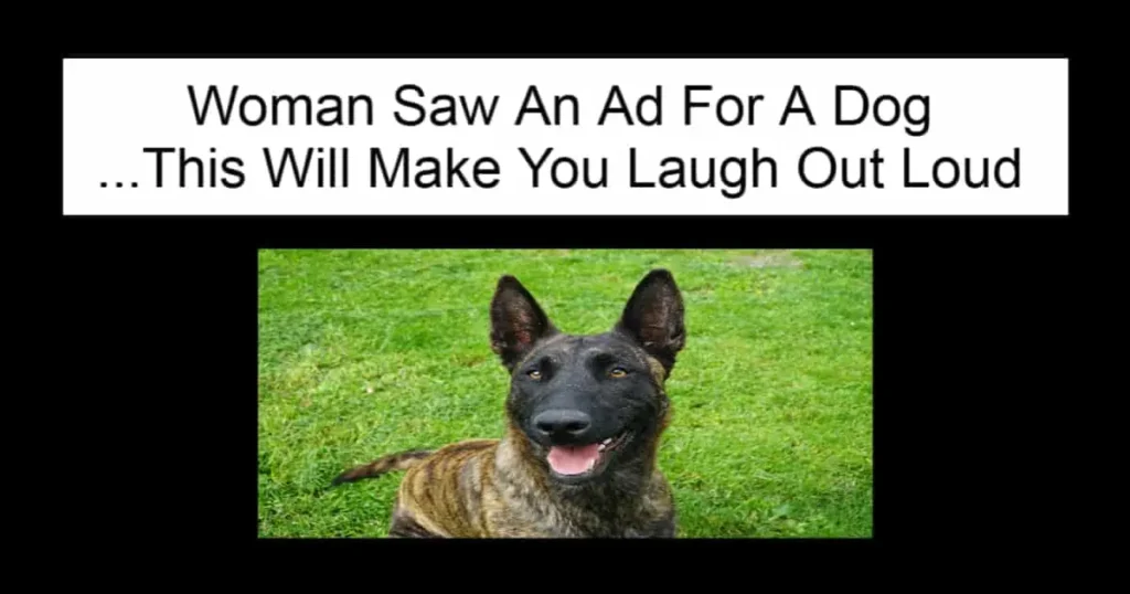 Woman Saw An Ad For A Dog