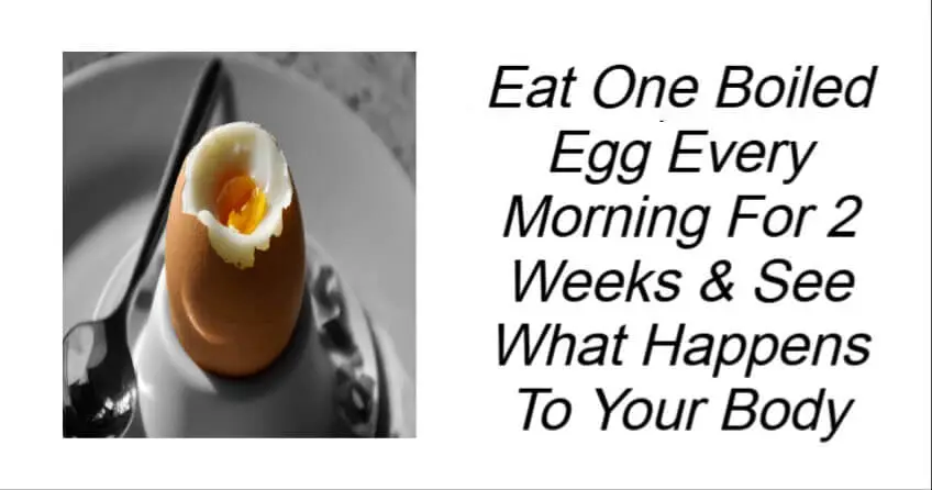 Eat One Boiled Egg Every Morning