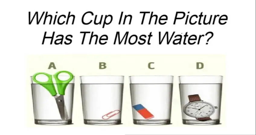 Which Cup In The Picture Has The Most Water