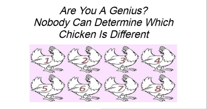 Nobody Can Determine Which Chicken Is Different