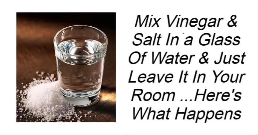 Mix Vinegar & Salt In a Glass Of Water