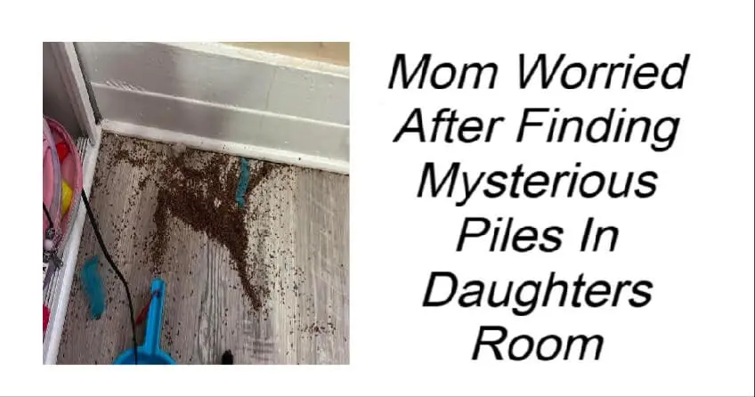 Mom Worried After Finding Mysterious Piles