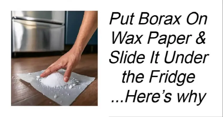 Slide Borax On Wax Paper Under the Fridge