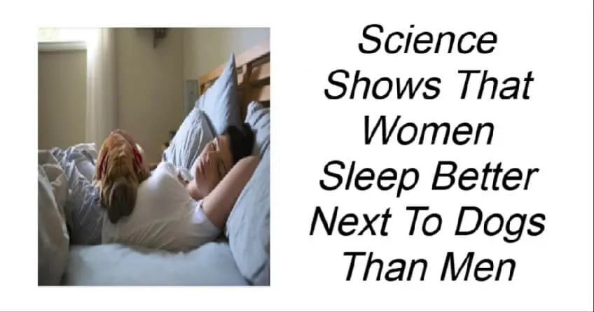 Women Sleep Better Next To Dogs Than Men