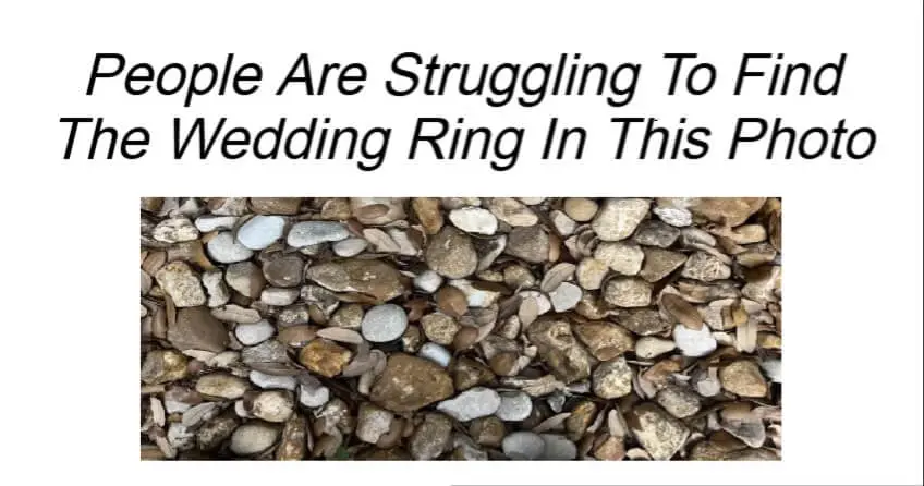 People Are Struggling To Find The Wedding Ring