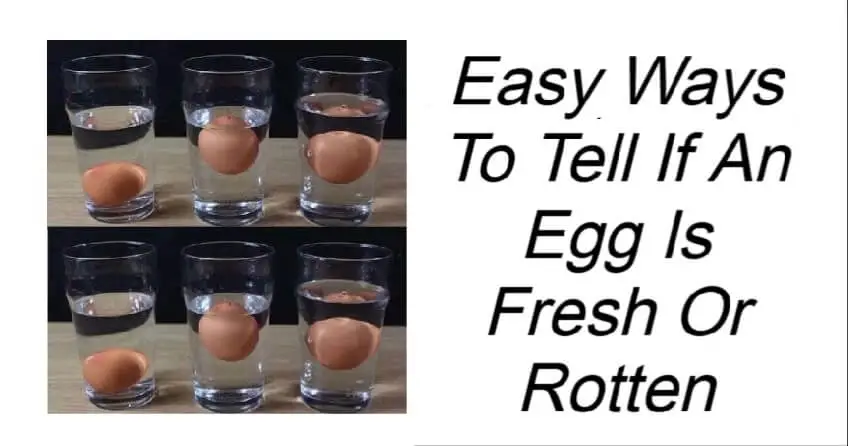 Easy Ways To Tell If An Egg Is Fresh