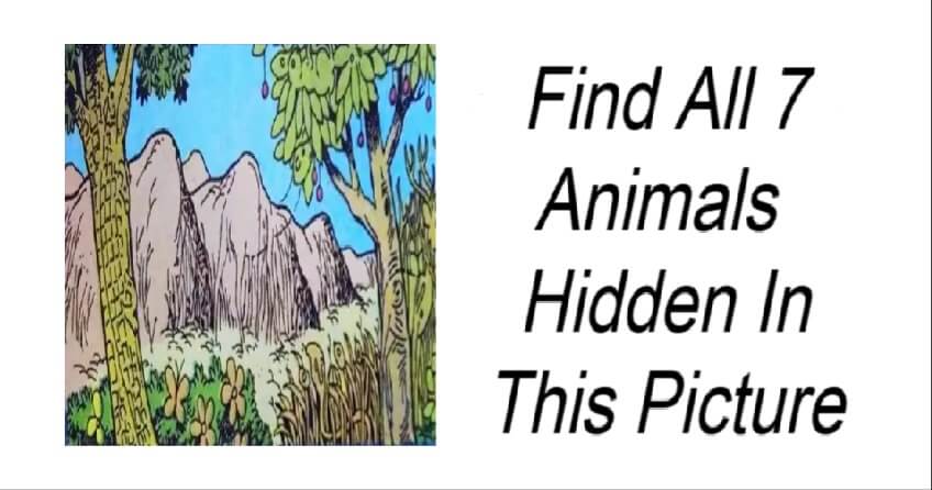 Find All 7 Animals Hidden